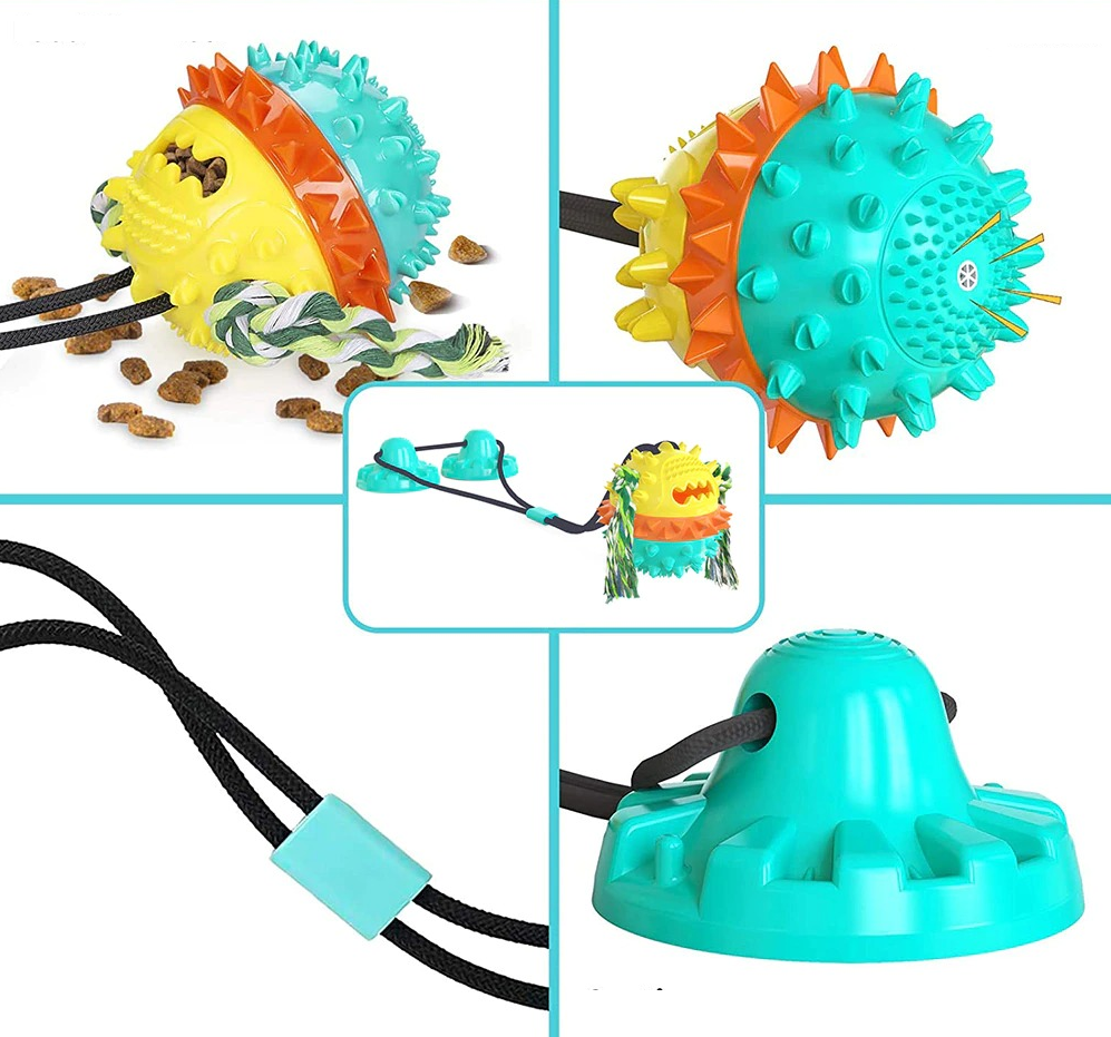 Clawzy™ | For Active Pets