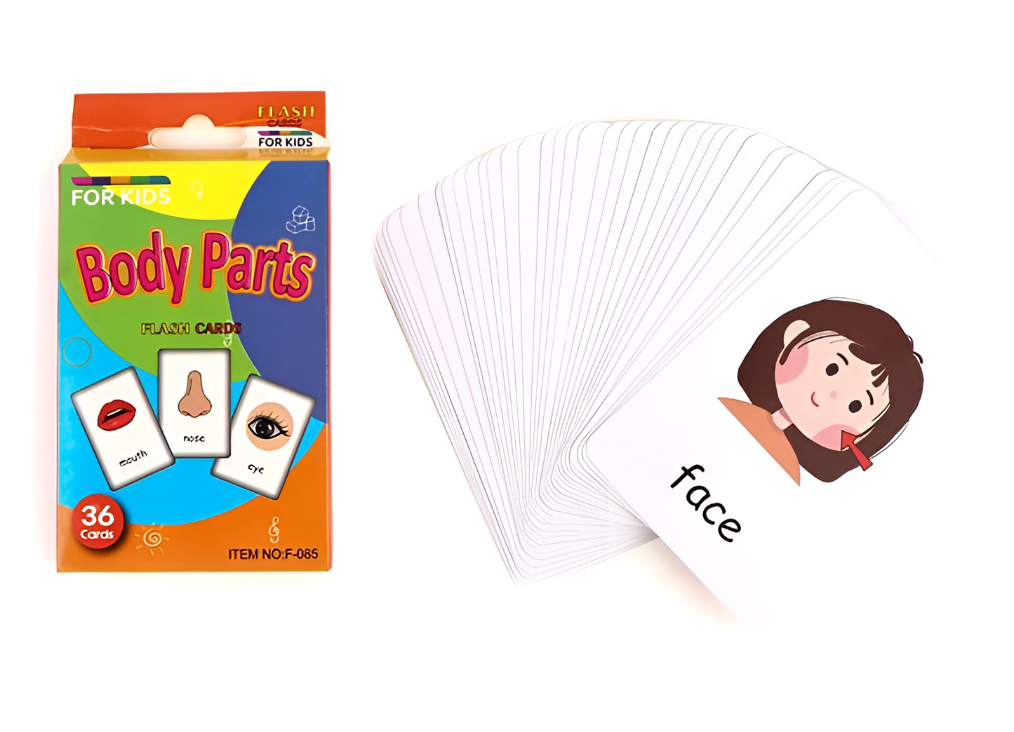 Montessori Uddannelses Flashcards