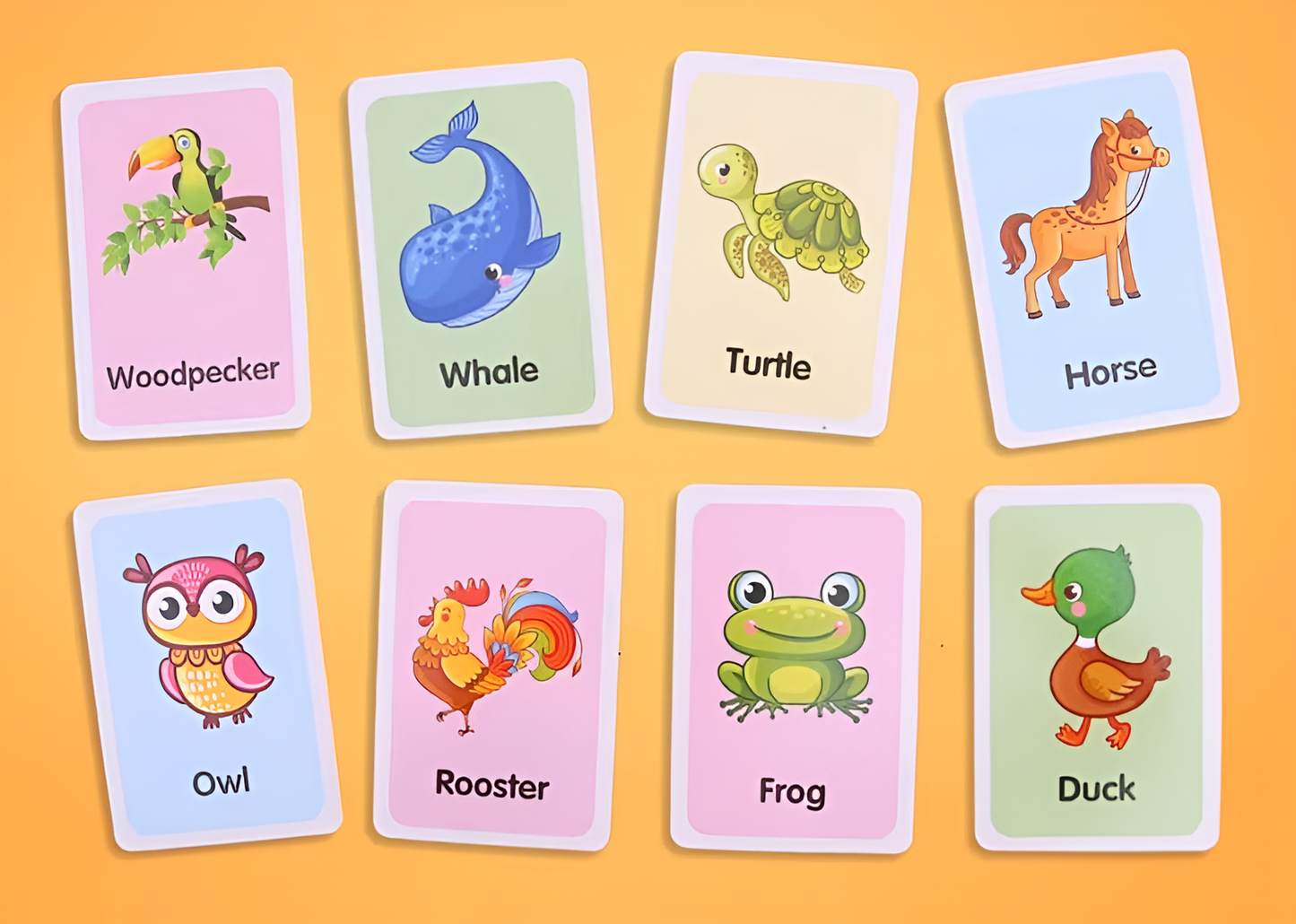 Montessori Uddannelses Flashcards