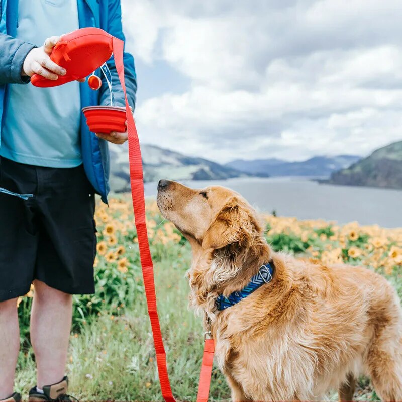 HydroGrip™ | 3-in-1 Hydration Tool for Your Dog