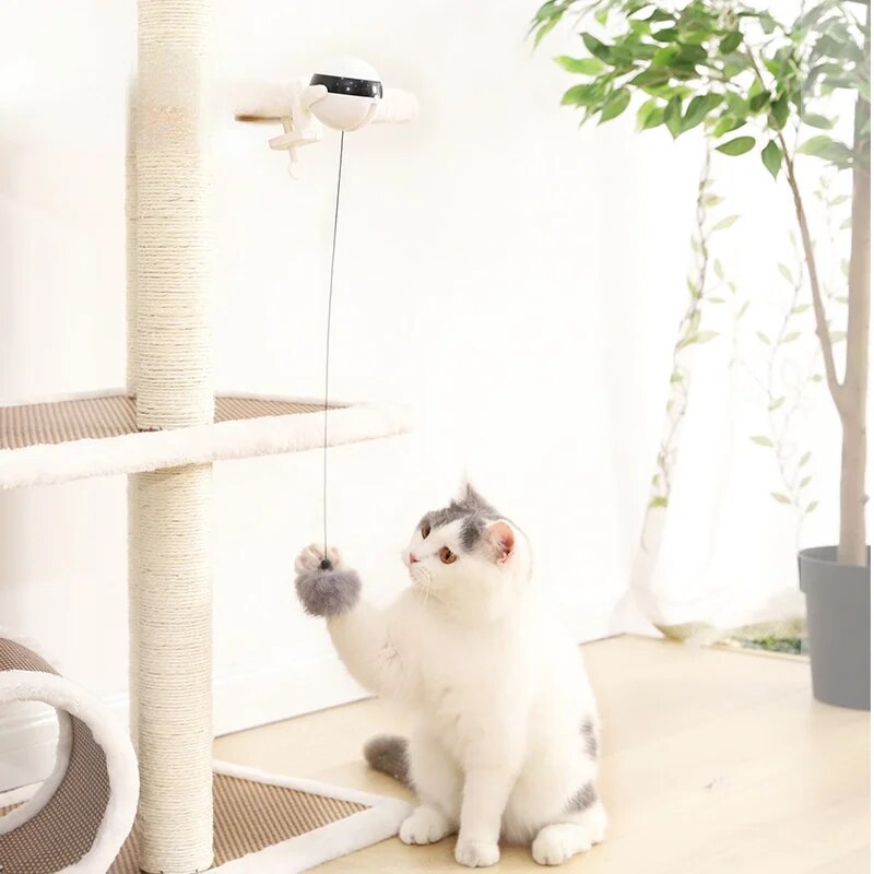 PurrPower™ | Automatic Moving Toy