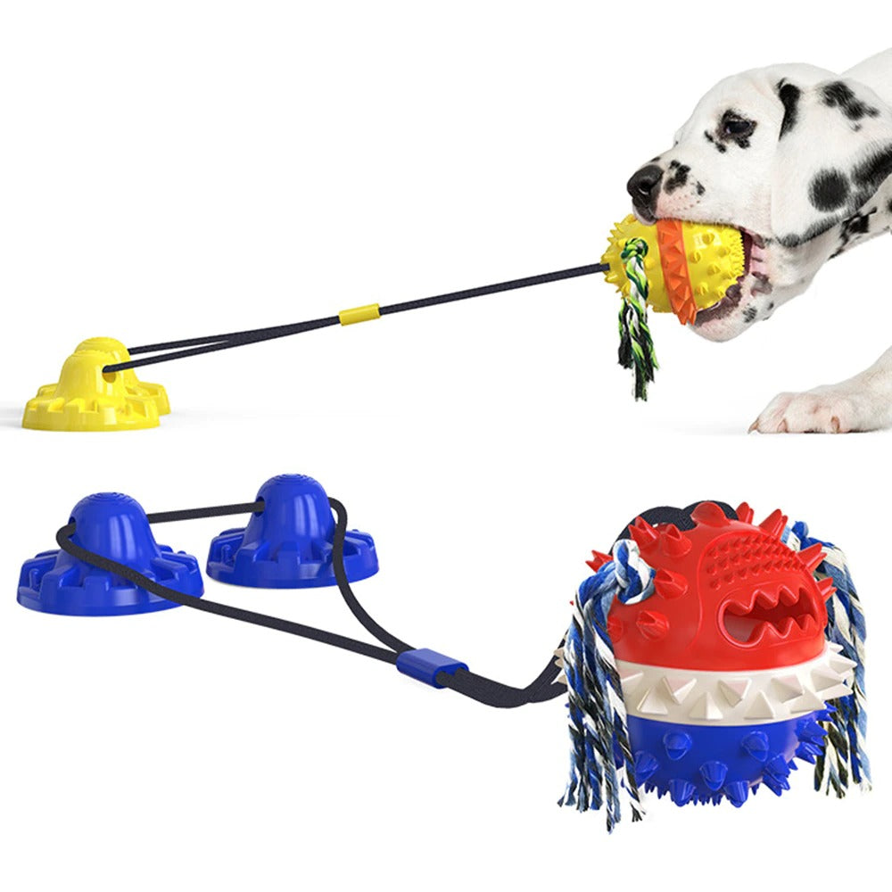 Clawzy™ | For Active Pets