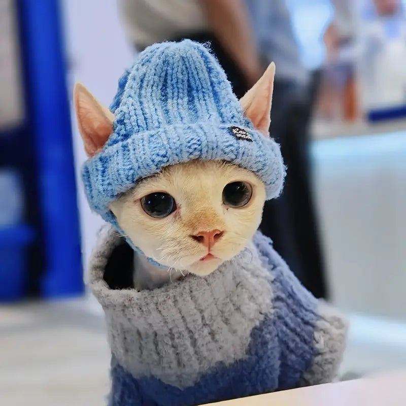 Hugsy™ | Winter Hat for Cats Against Stress
