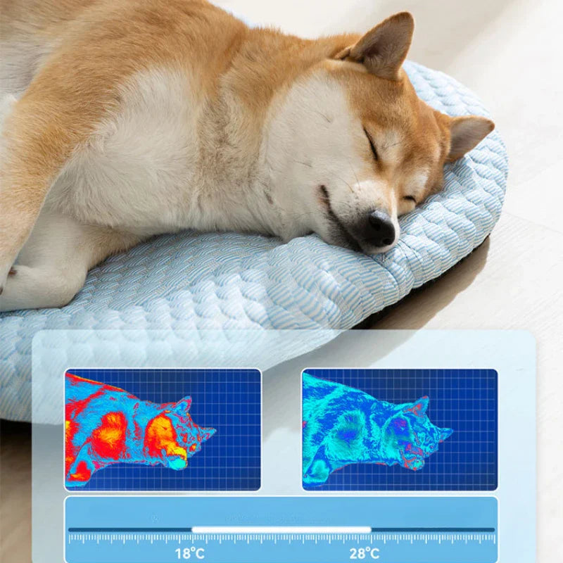 Arctici™ | Enjoy luxurious cooling