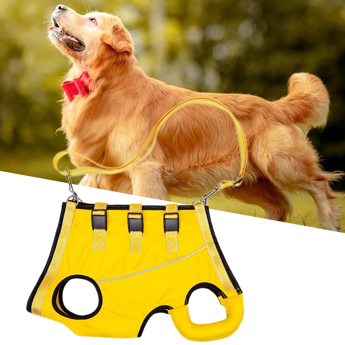 LiftHound™ | Rehabilitation and Recovery Support Harness
