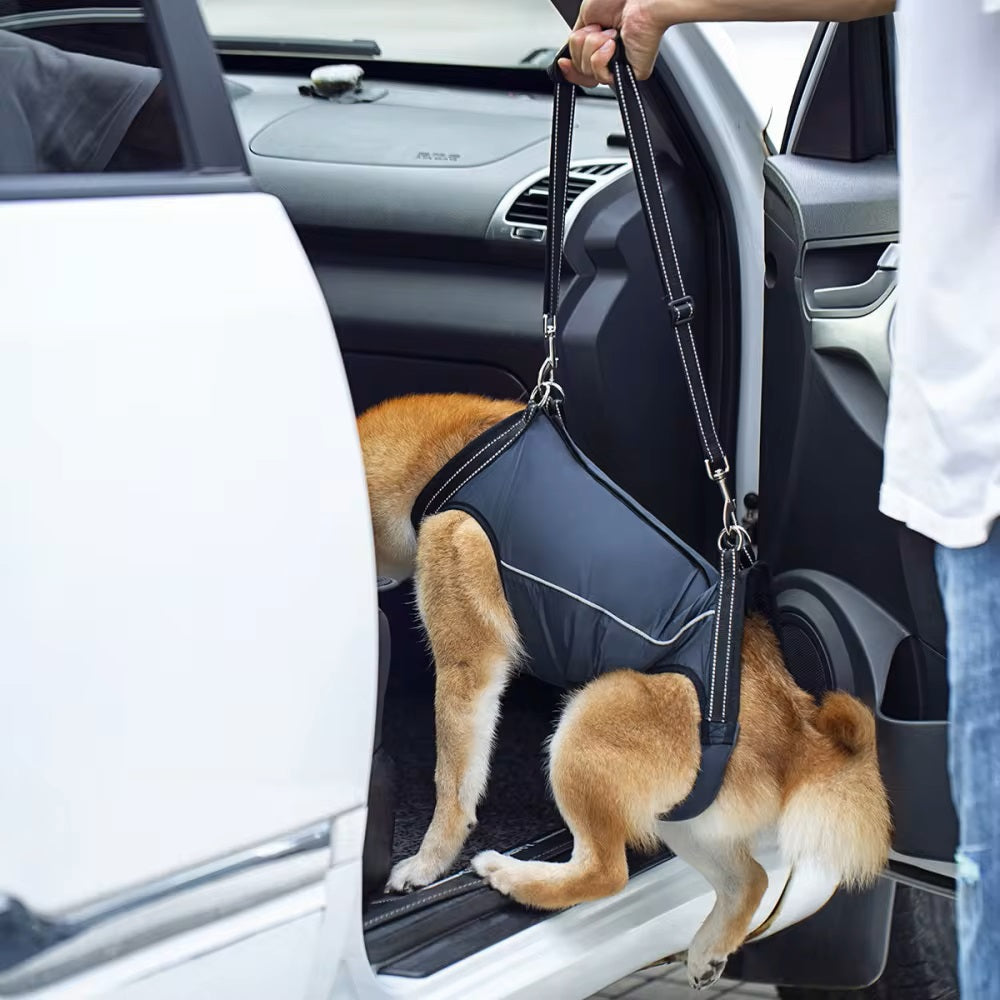 LiftHound™ | Rehabilitation and Recovery Support Harness