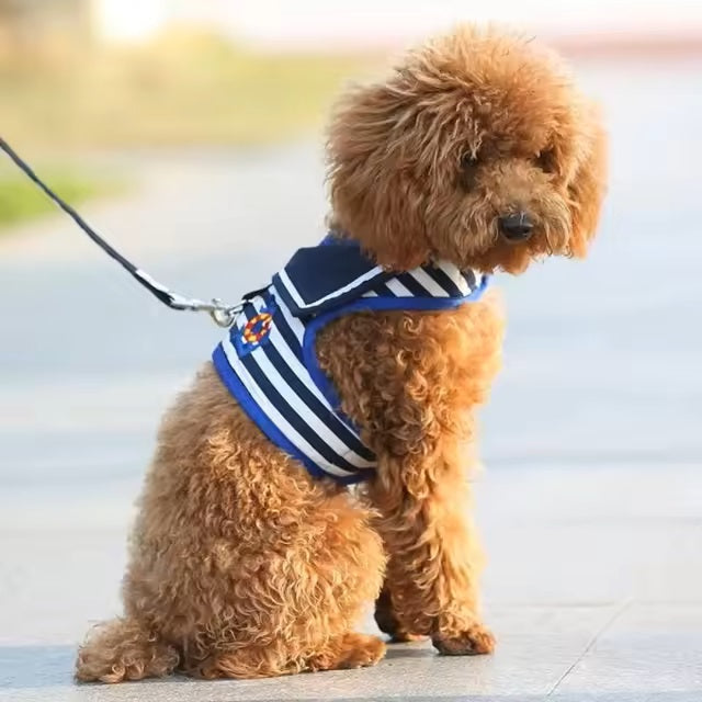 MarinerPet™ | Sturdy Control and Adjustable