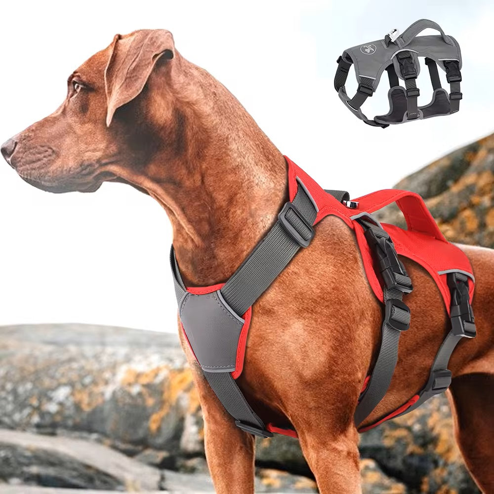 PawFlex™ | Premium No Pull Reflekterende Sele
