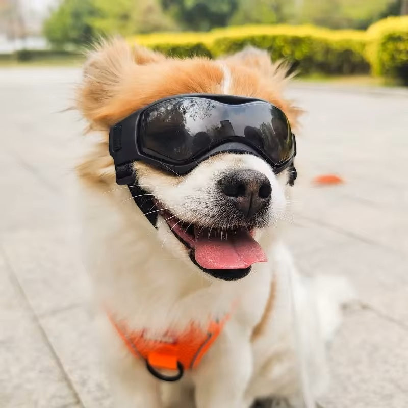PupVisor™ | Trendy UV Dog Sunglasses