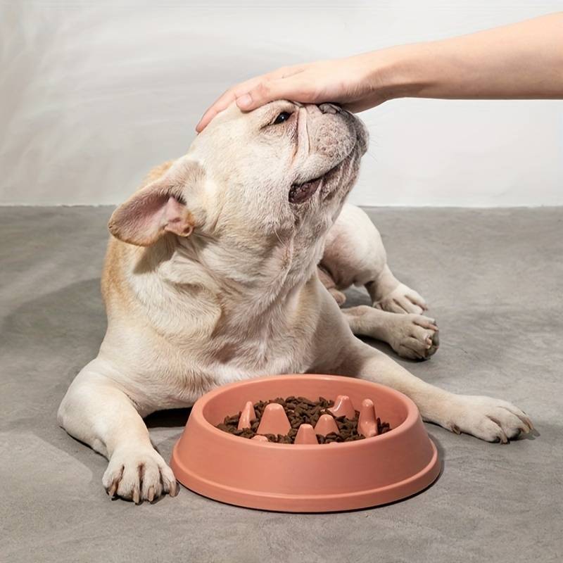 Foodie™ | Relaxed Eating Slow Feeder Dog Bowl