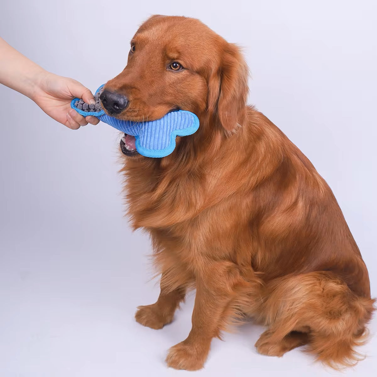 Doggle™ | Dog-shaped Toy with Squeaker