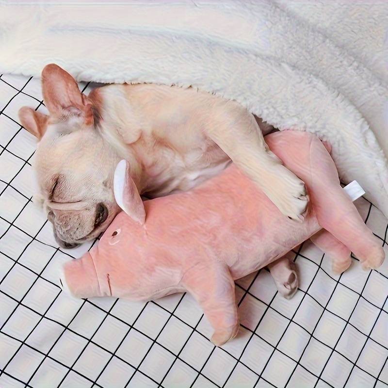 PigPals™ | Reduce Anxiety and Energy!