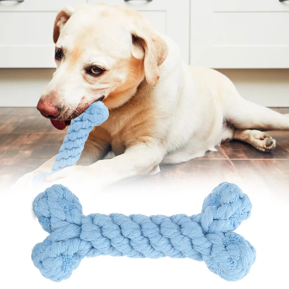 DentRope™ | Powerful for Intensive Chewers