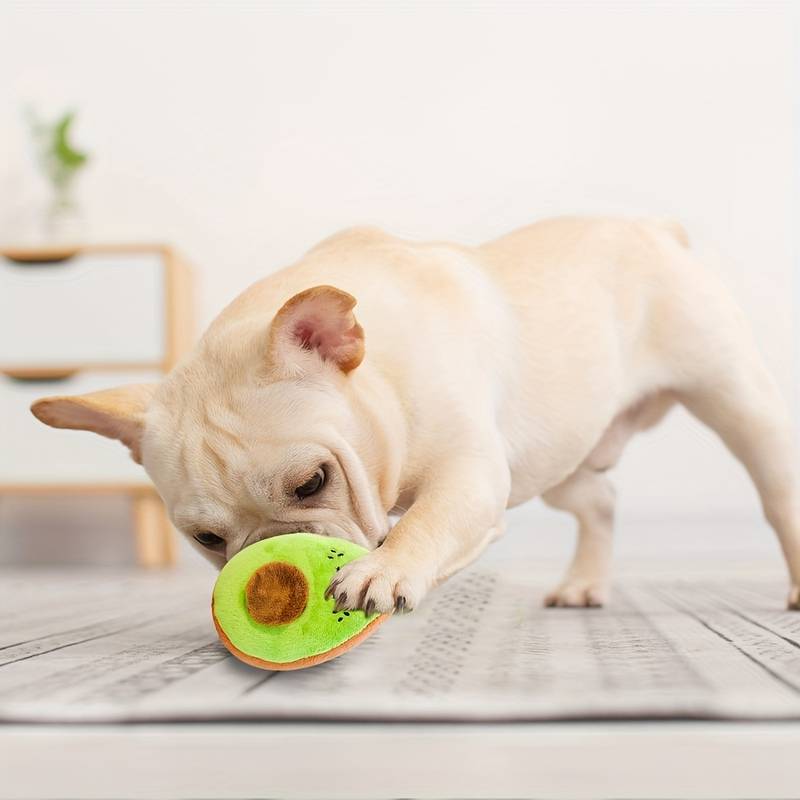 ChewyFruit™ | Toy for Healthy Teeth
