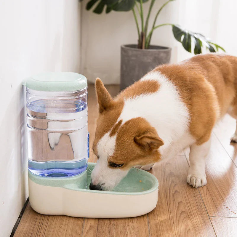 PawPotion™ | Always Fresh Food and Water