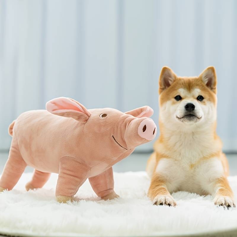 PigPals™ | Reduce Anxiety and Energy!