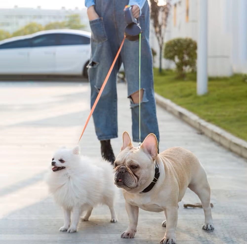 DogDuo™ | Lead with Anti-Tangle Technology