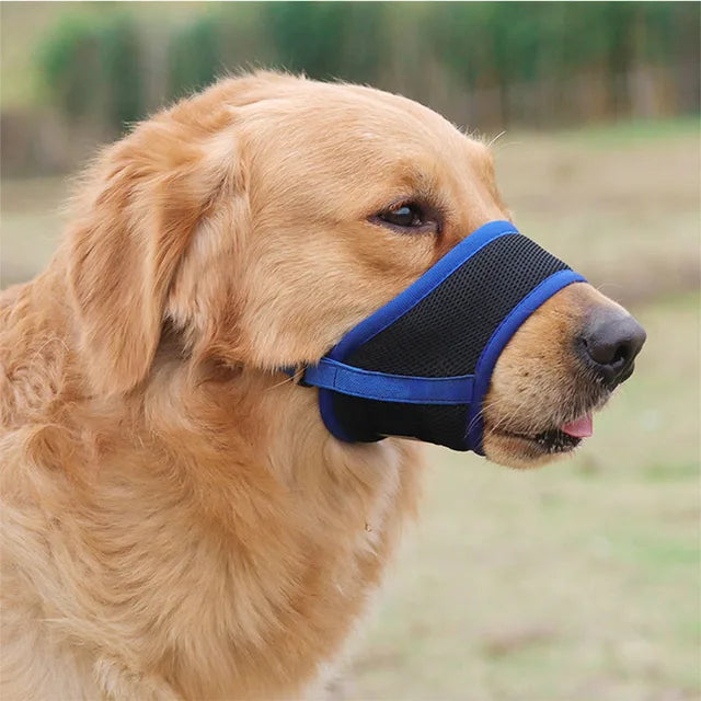 SoftSnout™ | Prevent Barking and Biting