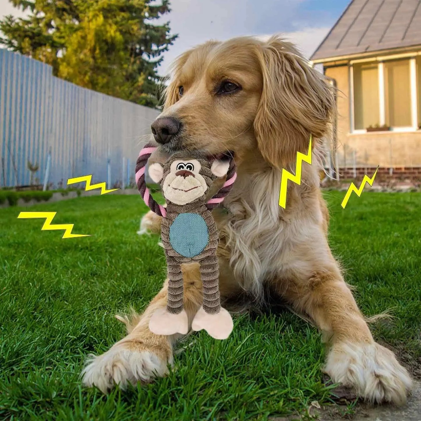 ChewFuzz™ | Durable and Bite-Resistant
