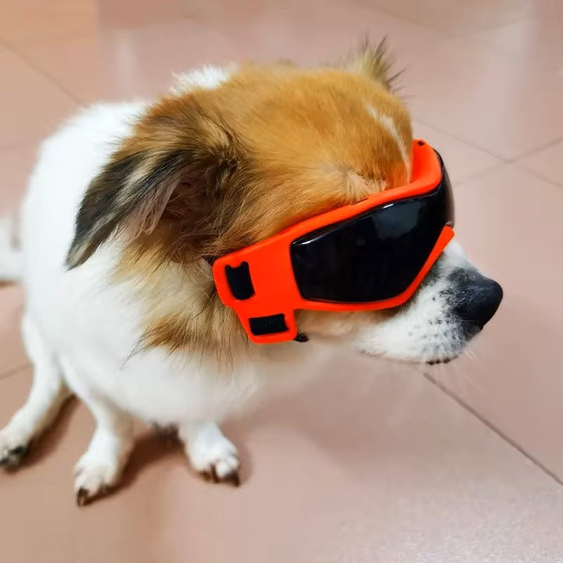 PupVisor™ | Trendy UV Dog Sunglasses