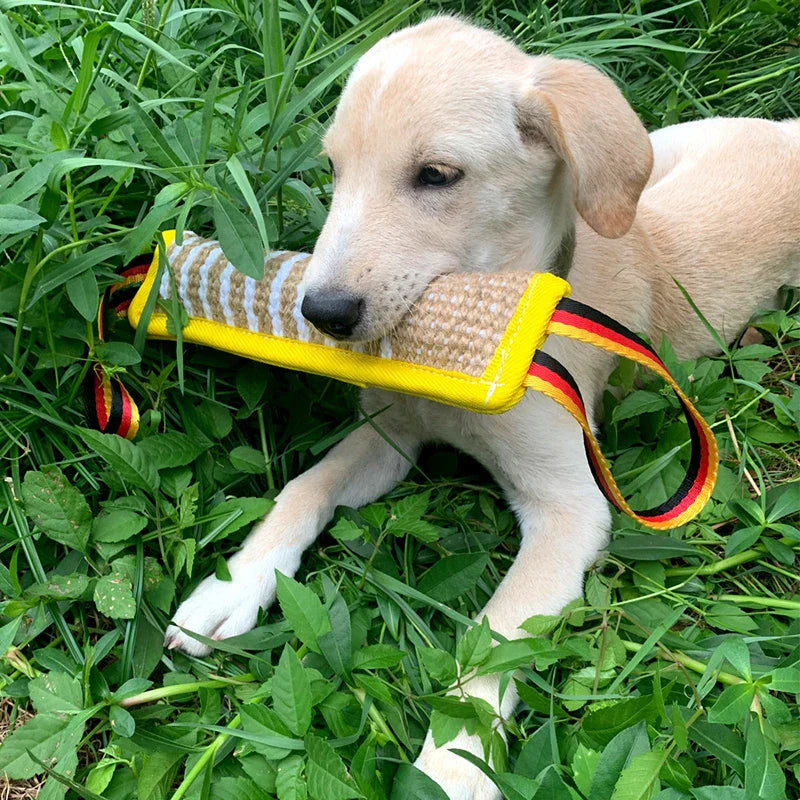 DogGrip™ | Ultimate Chew Cushion for Dogs