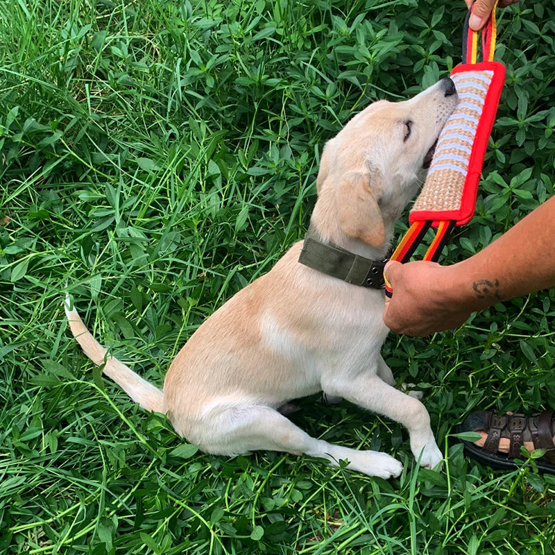 DogGrip™ | Ultimate Chew Cushion for Dogs