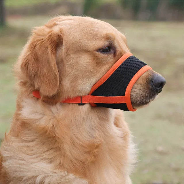 SoftSnout™ | Prevent Barking and Biting