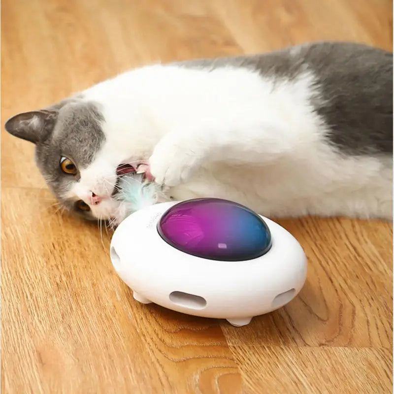 PurrFly™ | Cheerful and Active Toy