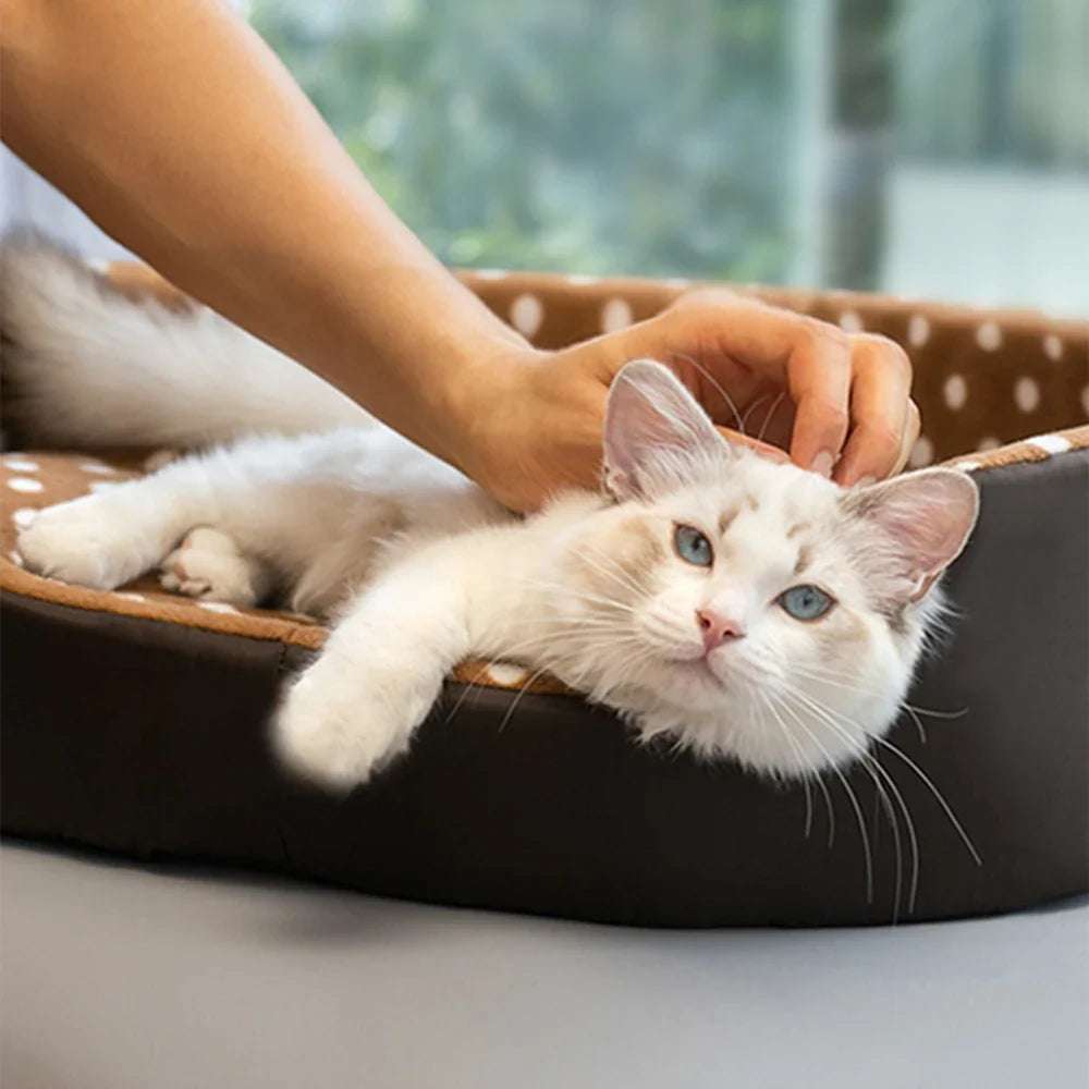 ArcticPaws™ | Ademend Koelmat voor honden