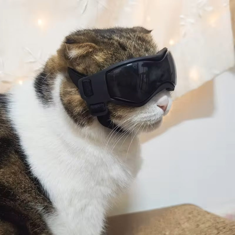 PupVisor™ | Trendy UV Dog Sunglasses