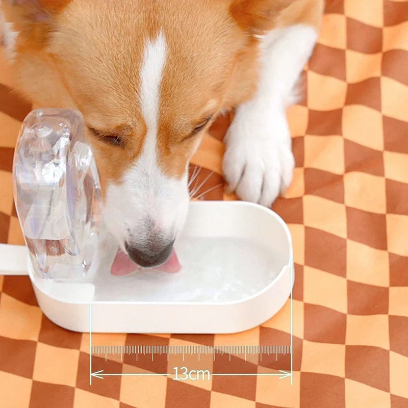 PetPuddle™ | Always and Everywhere Hydration