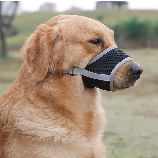 SoftSnout™ | Prevent Barking and Biting
