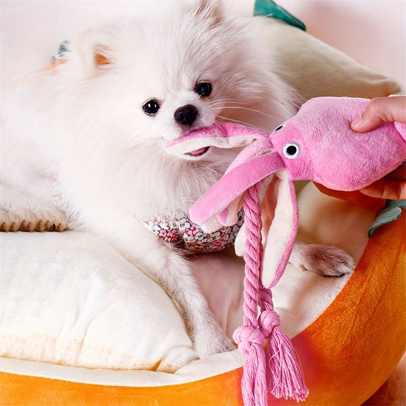 OctoChomp™ | Strengthen Teeth and Playtime