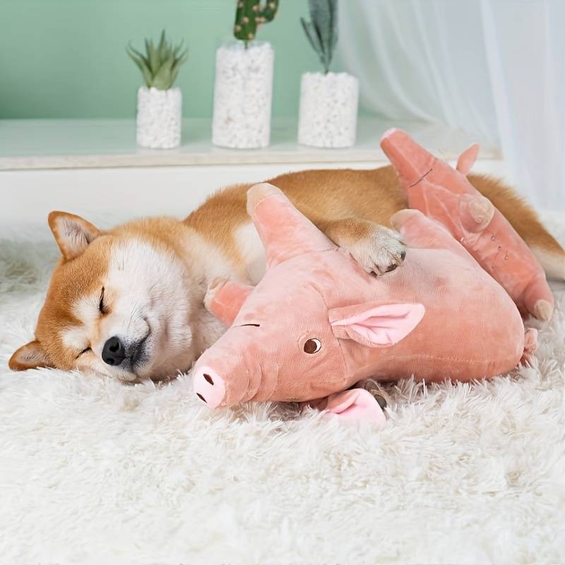 PigPals™ | Reduce Anxiety and Energy!