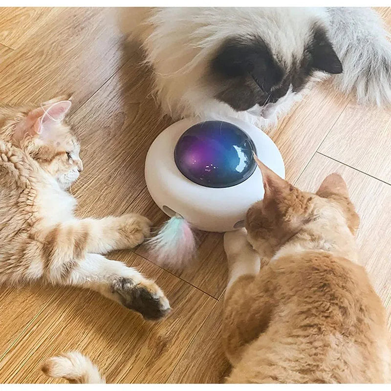 PurrFly™ | Cheerful and Active Toy