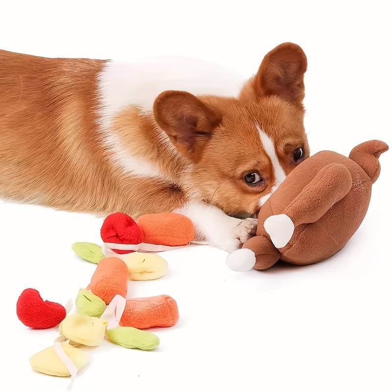 SniffSeek™ | Fun and Dental Care