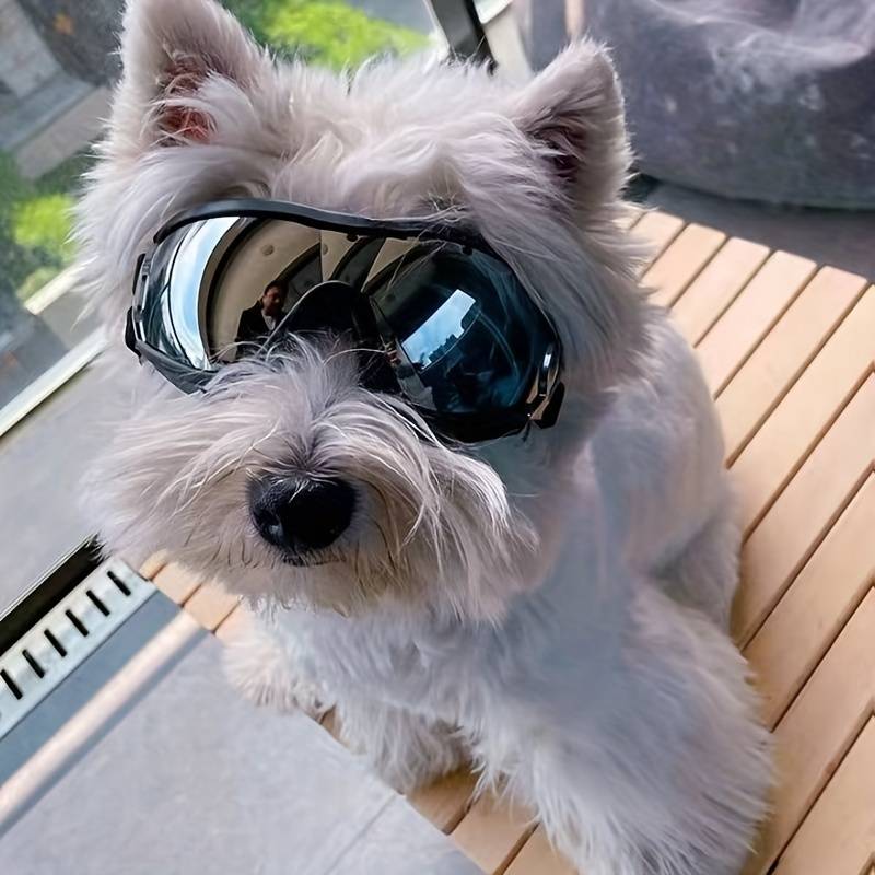 PupVisor™ | Trendy UV Dog Sunglasses