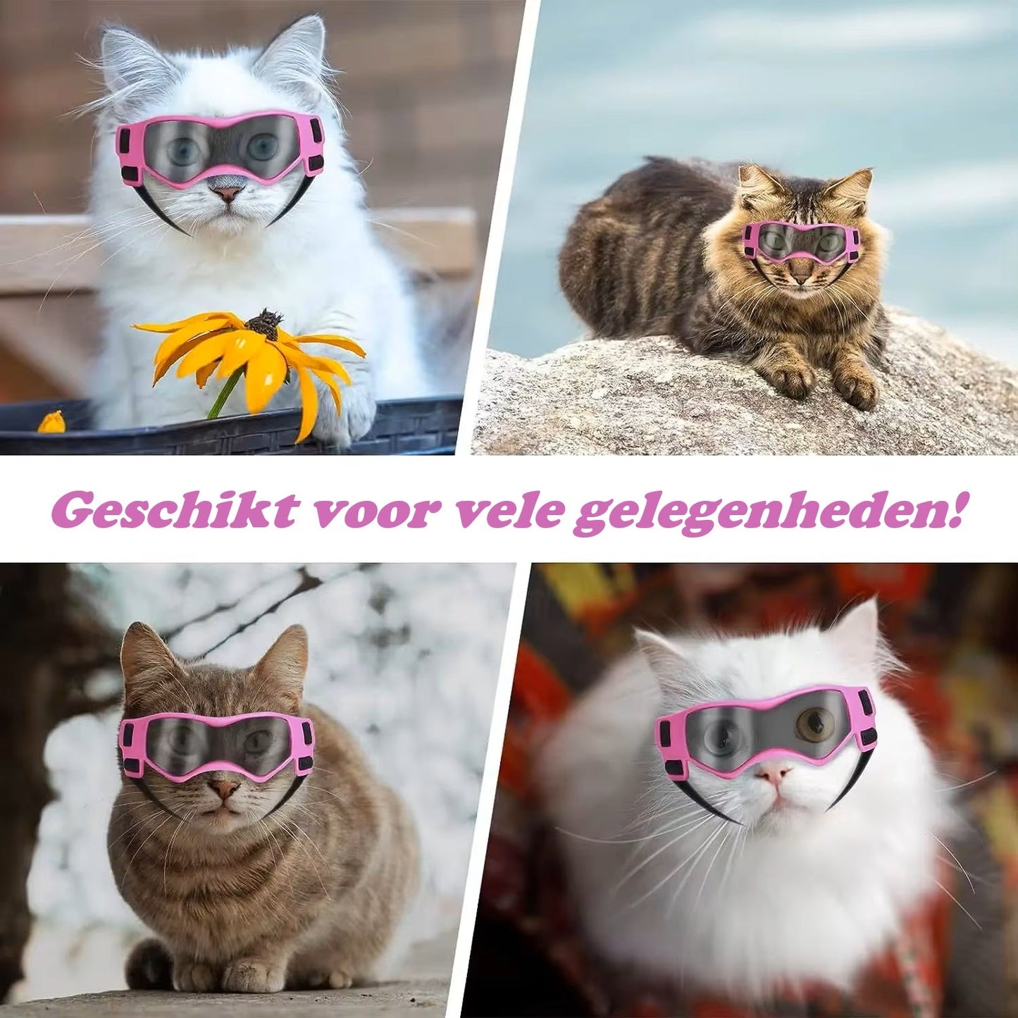 PupVisor™ | Trendy UV Dog Sunglasses