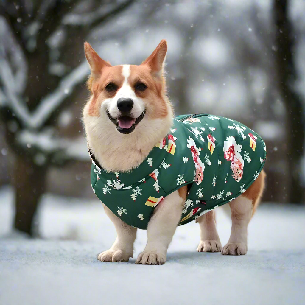 Flocke™ | Dog Coat for Rain and Unpleasant Odours