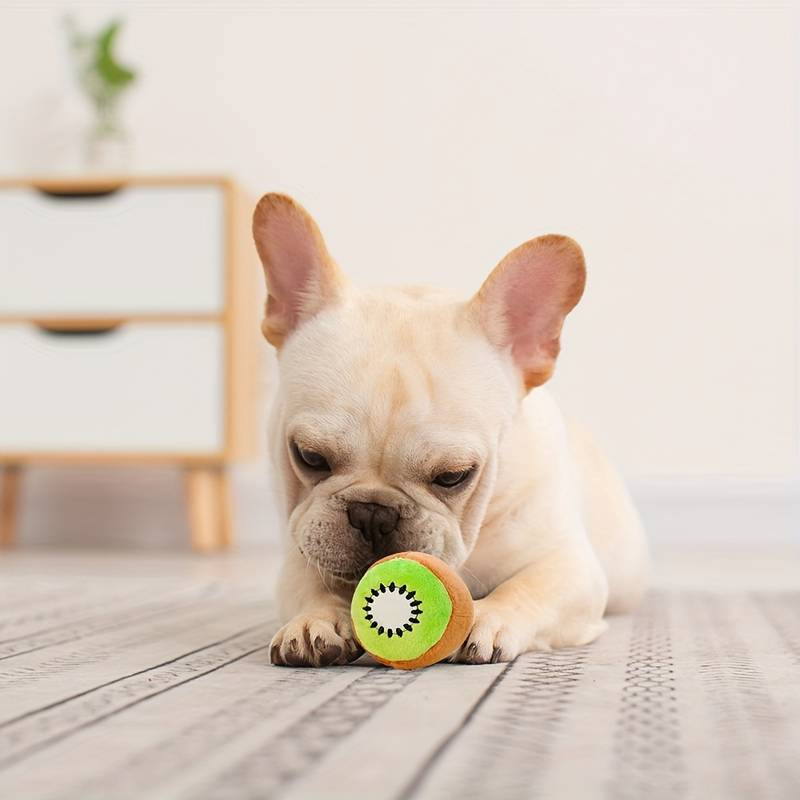ChewyFruit™ | Toy for Healthy Teeth