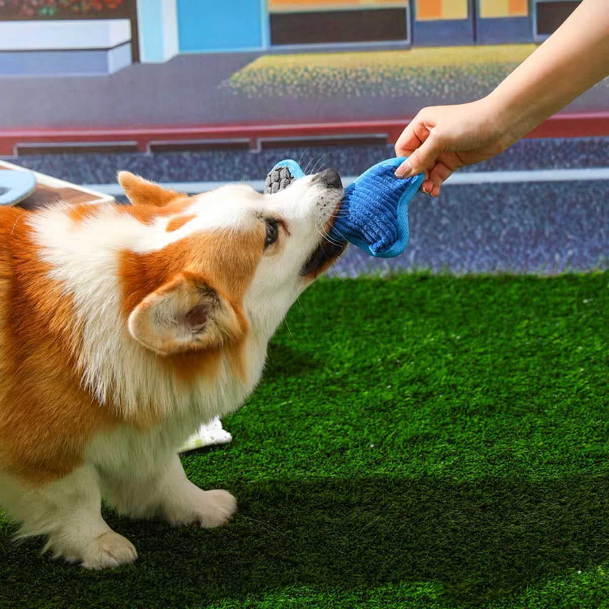 Doggle™ | Dog-shaped Toy with Squeaker