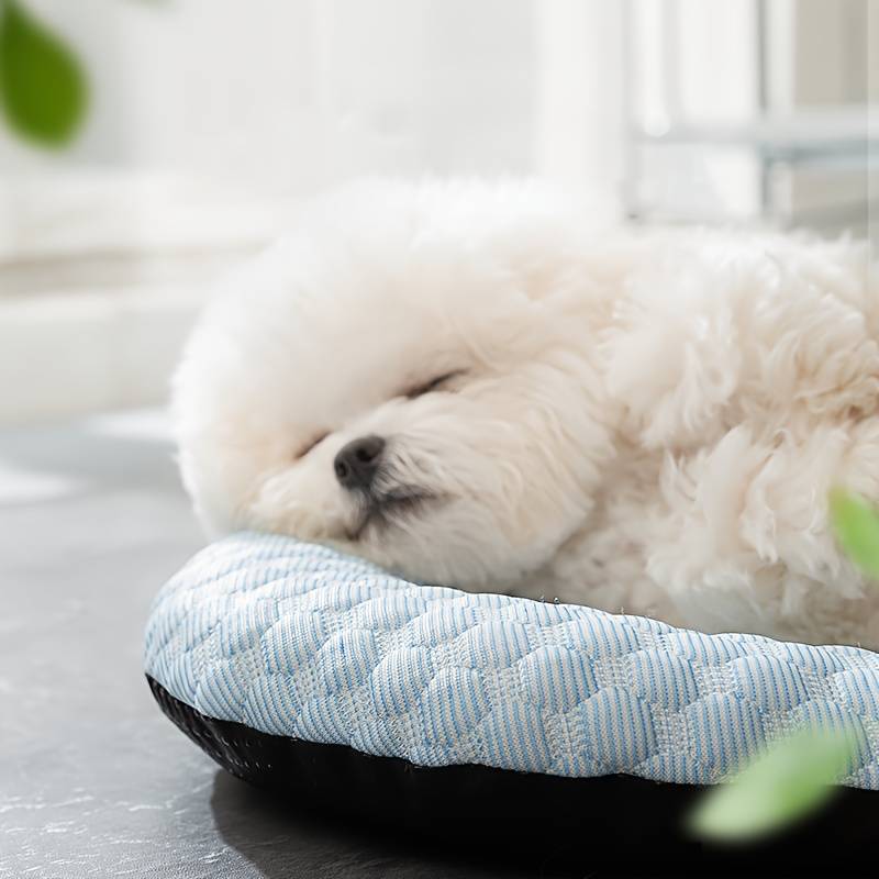 Arctici™ | Enjoy luxurious cooling