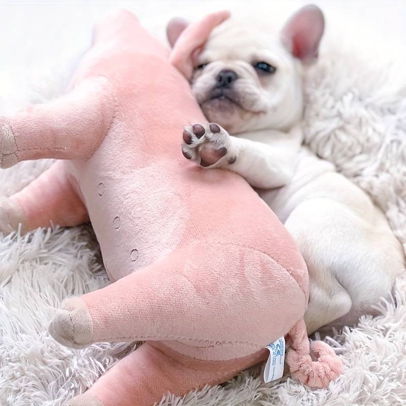 PigPals™ | Reduce Anxiety and Energy!