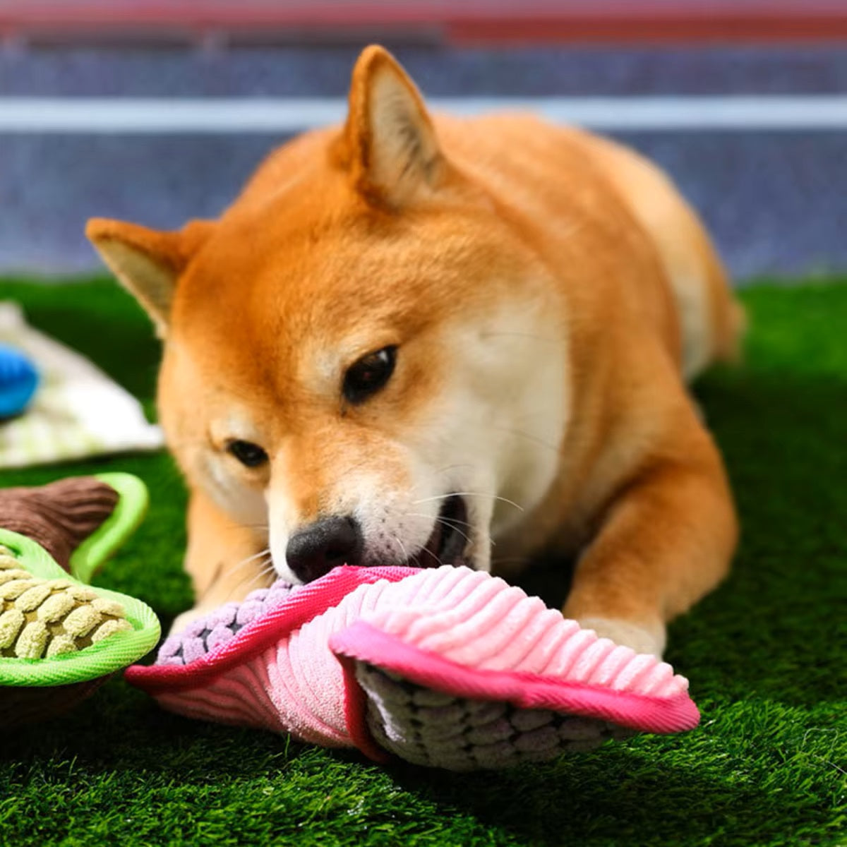 Doggle™ | Dog-shaped Toy with Squeaker