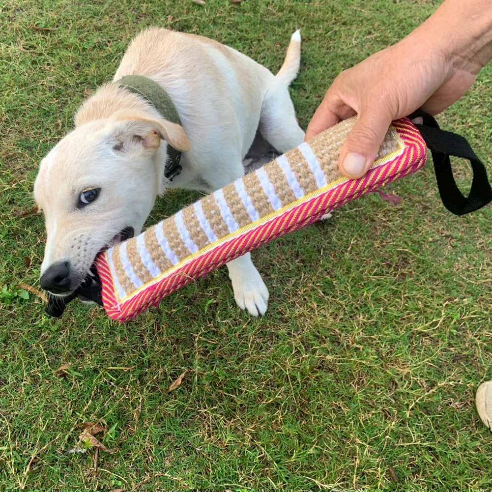 DogGrip™ | Ultimate Chew Cushion for Dogs