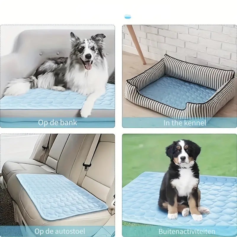 IcyWoof™ | The Best Summer Solution