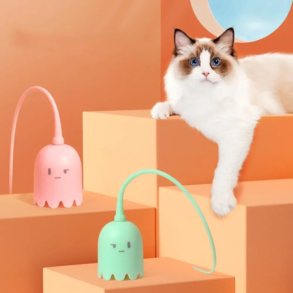 ZephPaws™ | Active Play for Happy Cats