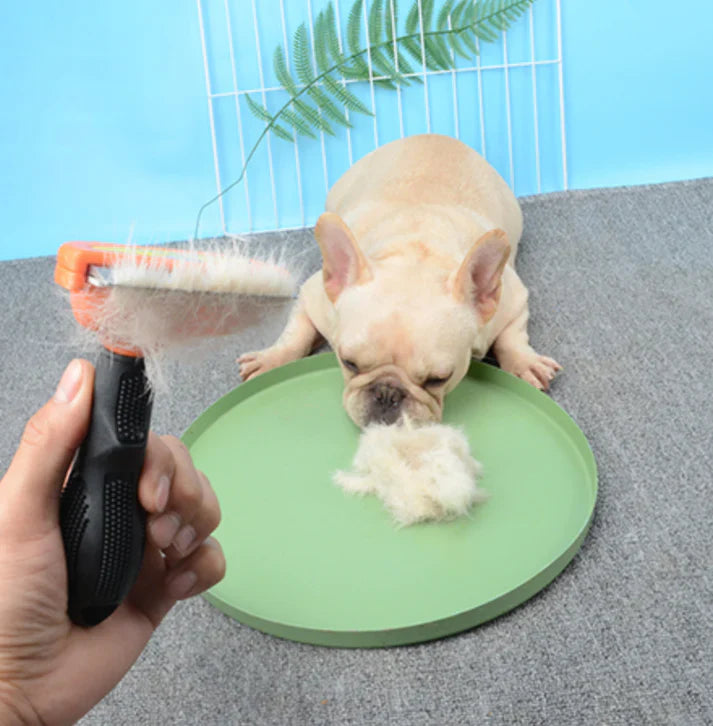 Purrify™ | Radiant Coats Without Stress