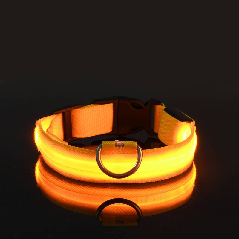 GlowDog™ | Reduce Anxiety About Collisions