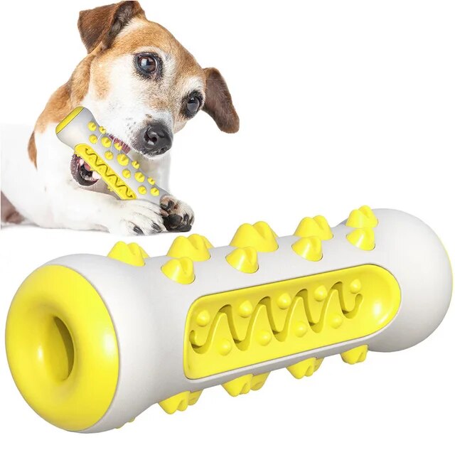 BrushBuddy™ | Healthy Teeth for Your Dog